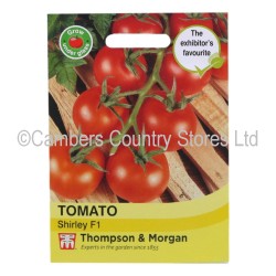 Thompson & Morgan Tomato Shirley